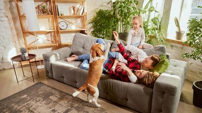 7 Dog Breeds That Are Cheap to Own and Take Care Of