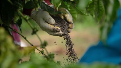 5 Fertilizers to Skip in the Cool Season