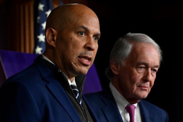 Democratic senators call on education department to stop ICE raids by schools
