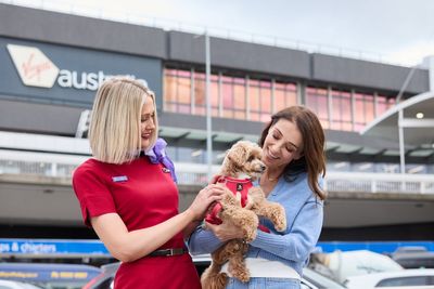 Australian airline allows pets in the cabin for the first time