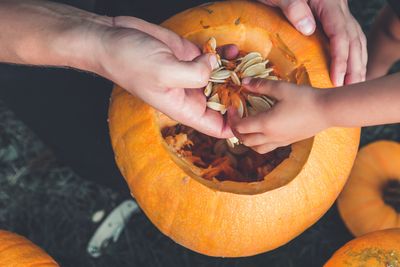 12 Ways to Use Pumpkin Scraps in the Garden
