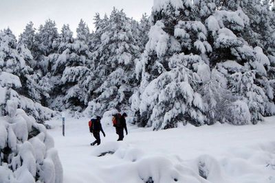 Snow expected in UK over weekend with ‘coldest days of season so far’