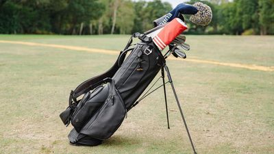 This Beautiful Stand Bag Is Nearly Perfect, But It Has One Fatal Flaw