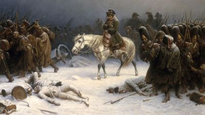 DNA reveals what killed Napoleon's soldiers during their disastrous retreat from Russia in 1812