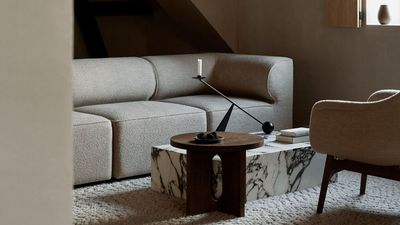 Skip the Classic Sofas You're Seeing Everywhere in Design Right Now — Here's 5 Up-and-Comers, Primed to Steal the Spotlight