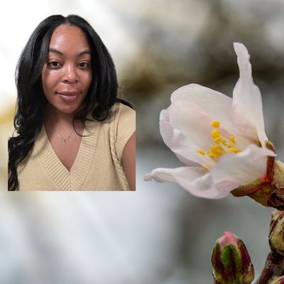 Almond Fragrances Are Increasing My Life’s Cozy Factor By 1000