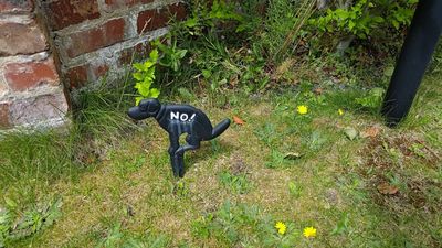 Internet ads firm’s CEO posts wild job description for 'A-players,' draws internet ire