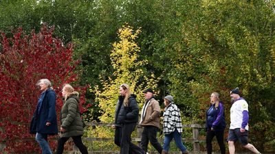 New Report Ranks Electorates Based On Wellbeing, See How Your City Stacks Up