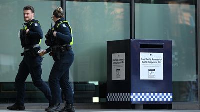 Machete thugs run riot at rugby league 'harmony' event