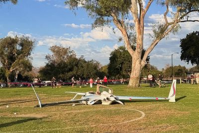 Deaf woman survives being hit by plane that crashed into her as she walked dog in California