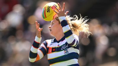 Like a swimming pool: Cats sink Dogs in the puddles