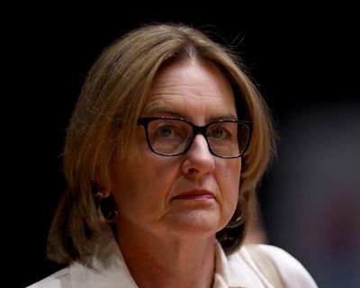 Allan says Victoria machete ban is working despite brawl at community sport event