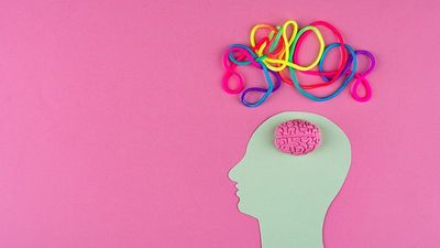 What age do humans reach their mental peak? It’s not as old as you think