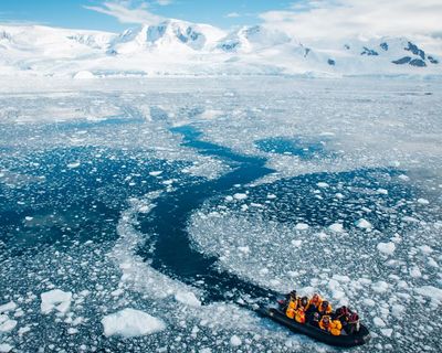 Russia arrests Ukrainian biologist for backing curbs on Antarctic krill fishing