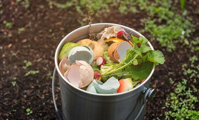 Why Compost Layers Matter More in Fall