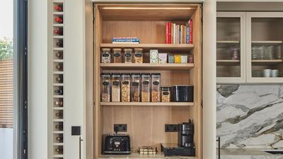 I Wish I Knew You Could Buy a Complete Pantry Off the Shelf Before I Started My Small Kitchen Renovation