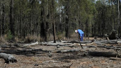 'Get on board': minister's environment overhaul appeal