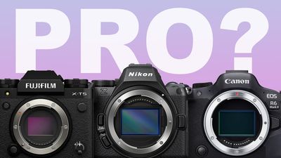I’m a photography expert, these are my recommended cameras for professional photography beginners