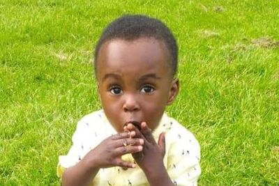 Rental bidding wars to be banned but damp and mouldy homes still an issue as new laws come in