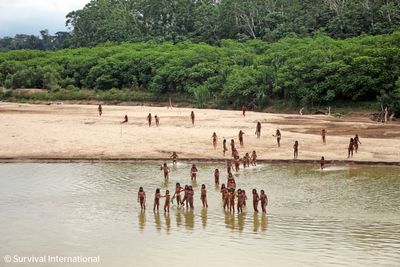 What to know about uncontacted Indigenous peoples and efforts to protect them