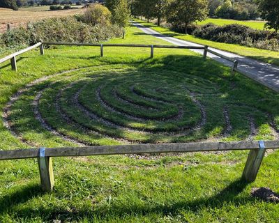 Country diary: A mini maze that was always in my midst