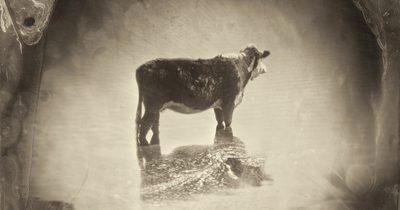 I Retraced Oregon’s “Trail Of Tears” And Photographed It Using An 1850s Camera