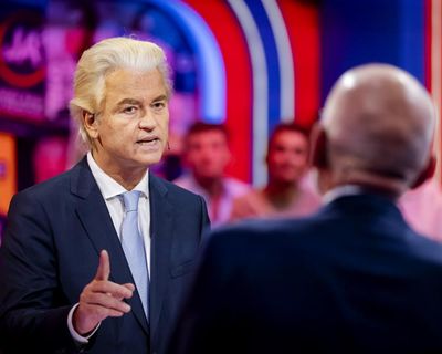 ‘Open hostility has become normalised’: Dutch Muslims fear rise of far right as general election looms