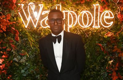 David Harewood believes young actors are 'mollycoddled'