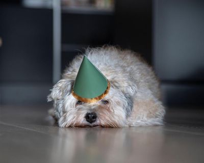 From ‘mood hoovers’ to ‘energy vampires’ - here’s why negative friends are good for you