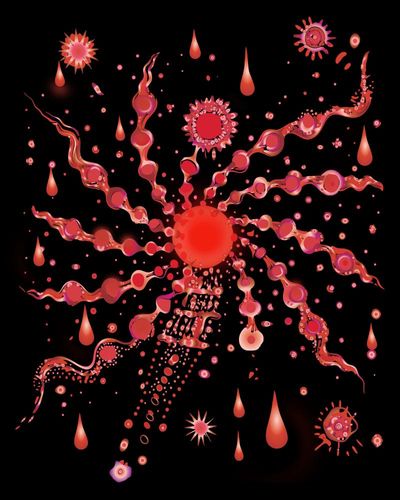 ‘A medical miracle’: is period blood ‘the most overlooked opportunity’ in women’s health?