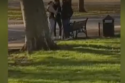 Moment mistakenly freed migrant sex offender arrested by police in north London park