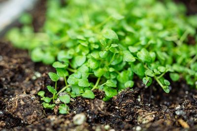 Why Moisture Levels Matter More in Autumn