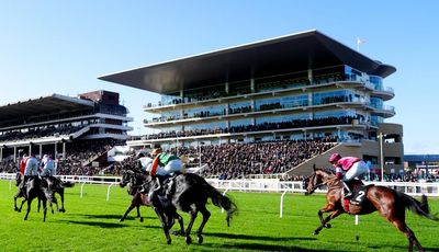 Cheltenham festival switch to Saturday a gamble not worth taking