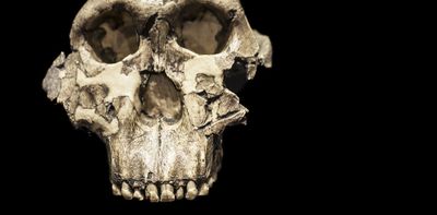 Fossil hand from human relative puzzles scientists with mix of human- and gorilla-like features
