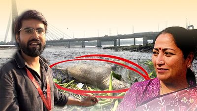Reality check of the Yamuna ‘clean-up’: Animal carcasses, a ‘pond’, and open drains