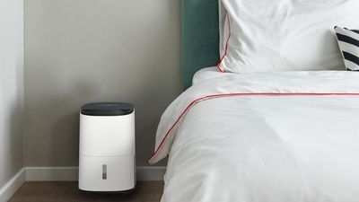 There's one mistake everyone makes with their dehumidifier – here's how to avoid it