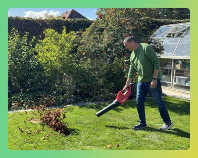 Confessions of a serial leaf stealer: the garden gadget that actually made tidying fun