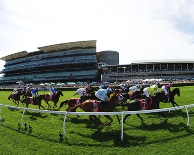 At least 174 racehorses died from racing or training injuries in past 12 months in Australia, report finds