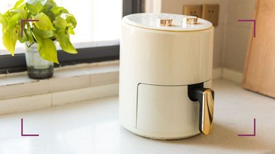 Are air fryers healthy? The benefits and disadvantages of air-frying your favourite foods
