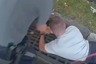 Dog rescued from storm drain after slipping off collar