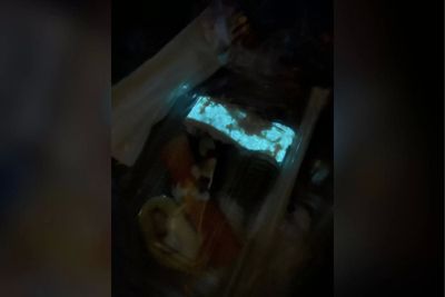 Glowing blue sushi shocks customer