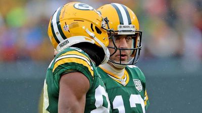 Ex-Packers Receiver to Sign With Steelers in Aaron Rodgers Reunion: Report
