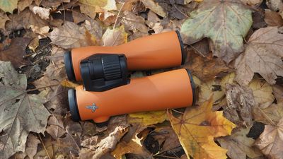 Swarovski NL Pure 10x42 binoculars review