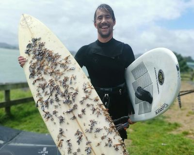 Man finds surfboard that drifted 2,400km from Australia to New Zealand – and tracks down owner