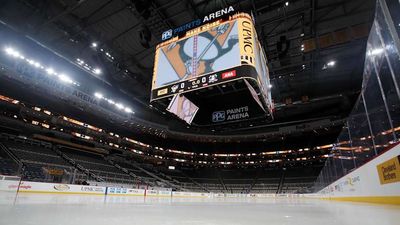 Penguins Fan Hospitalized After Falling From Upper Concourse During Game vs. Blues