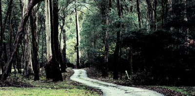 Far-right extremists are setting up rural enclaves around the world. We need to counter the threat they pose