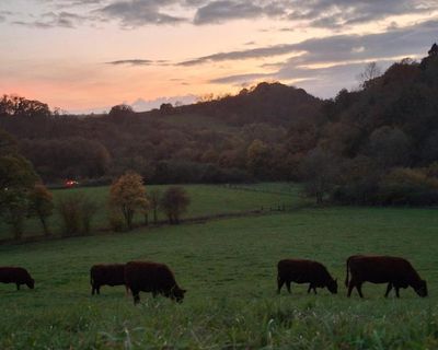 Country diary: The working day begins and ends in darkness once more