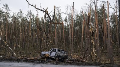 Nearly one million hectares burn as war ravages nature across Ukraine