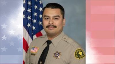 California Deputy Fatally Shot During Domestic Violence Call; Suspect Arrested After 150mph Chase