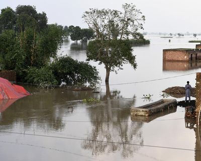 Pakistani farmers to sue German polluters over climate-linked flood damage